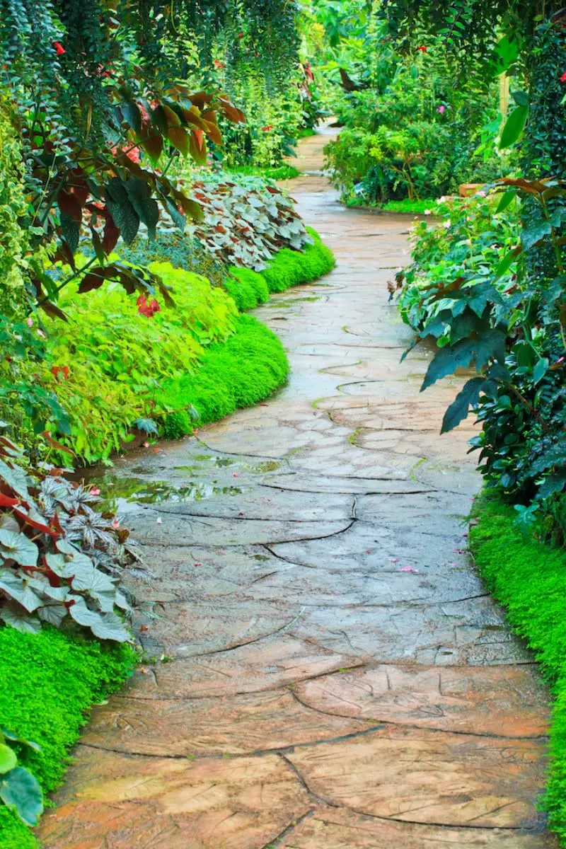 Stone garden path through green plants